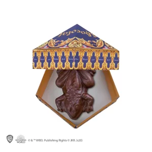 CR4018 Moule a Chocogrenouille 6 boites Chocogrenouille 12 cartes Harry Potter 3