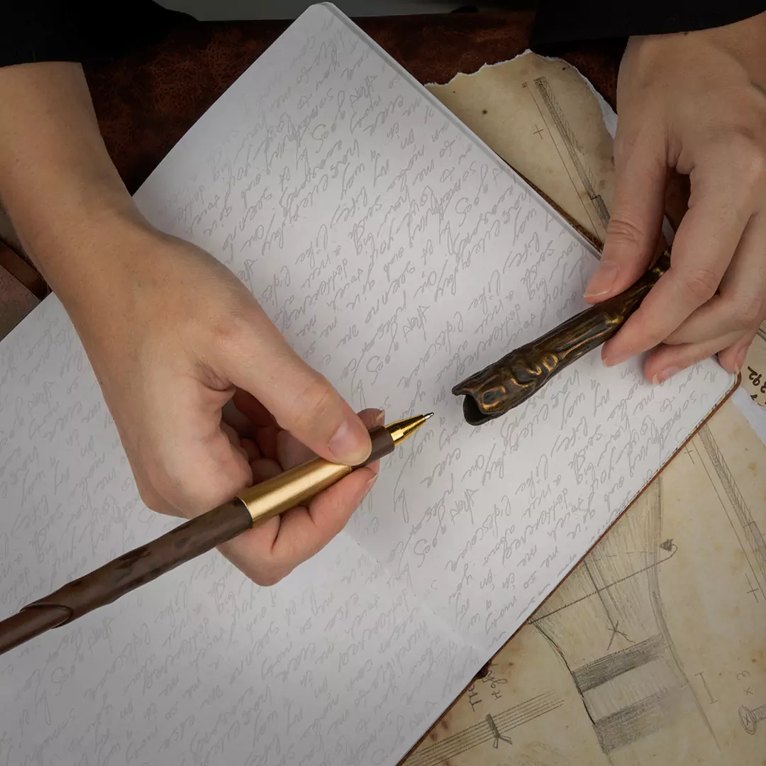 Stylo baguette Harry Potter Situation 3