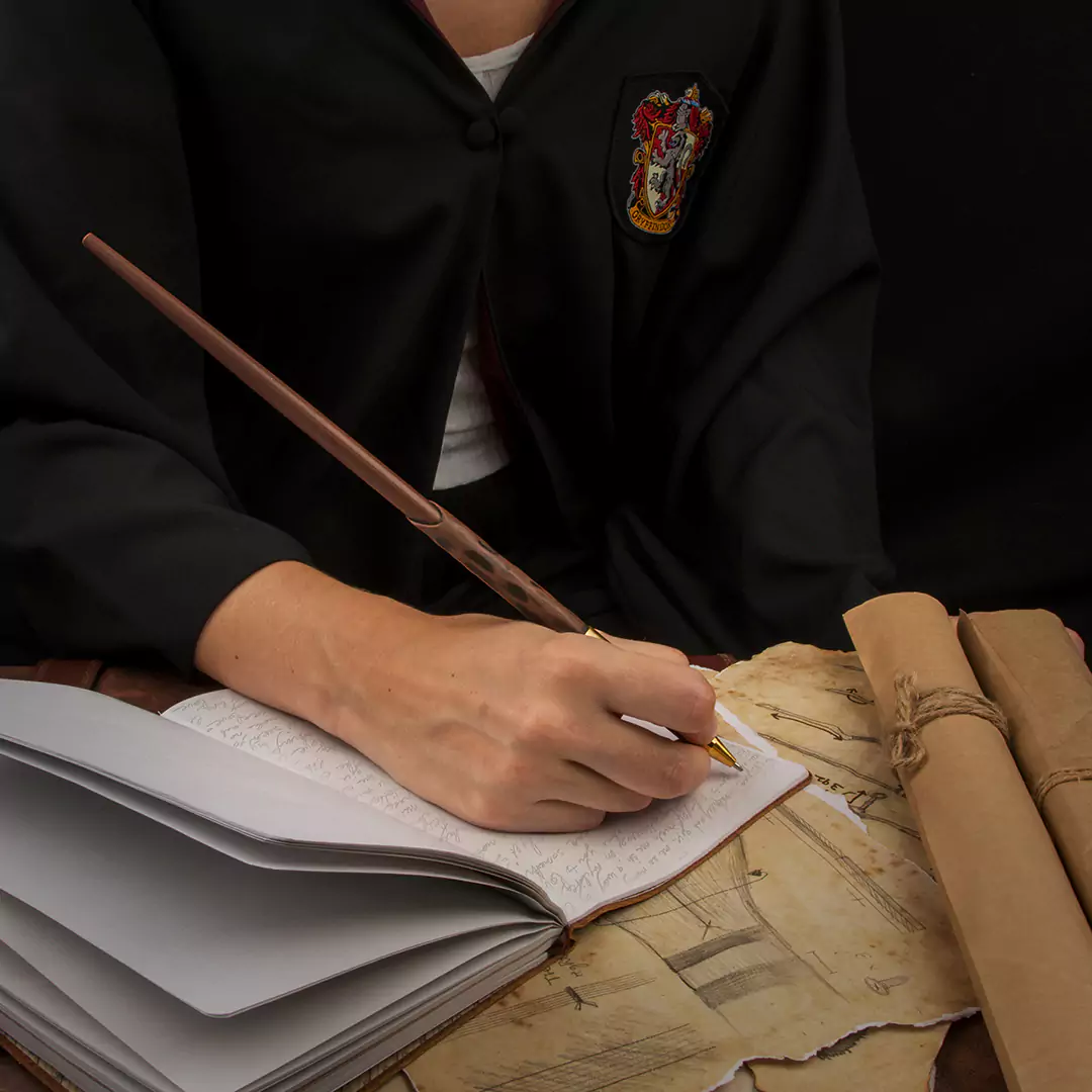 Stylo baguette Harry Potter Situation