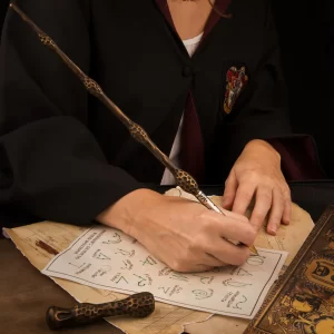 CR5131 Stylo baguette Albus Dumbledore Situation 2
