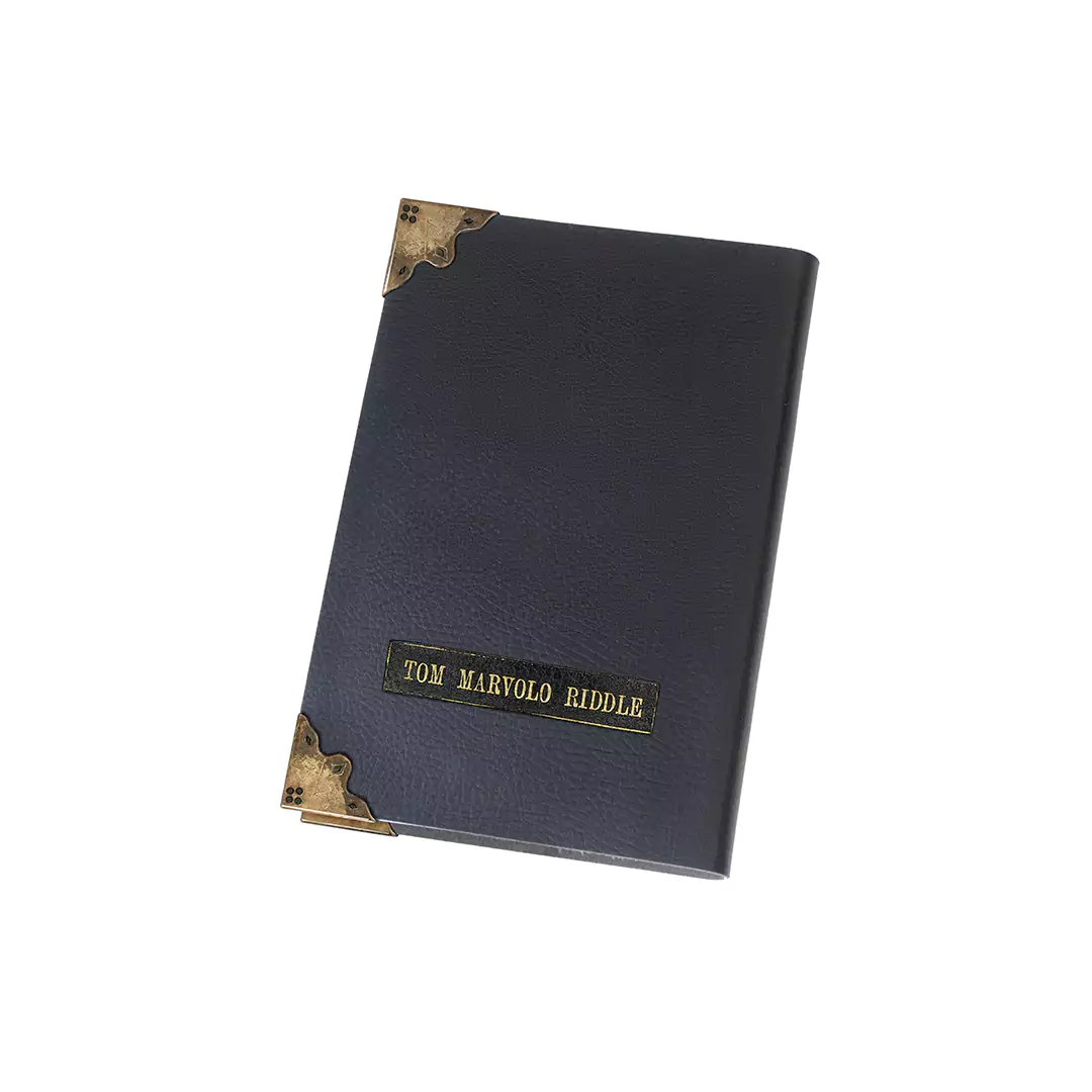 journal de tom jedusor