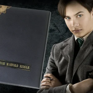 journal de tom jedusor