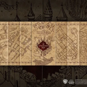 puzzle carte du maraudeur