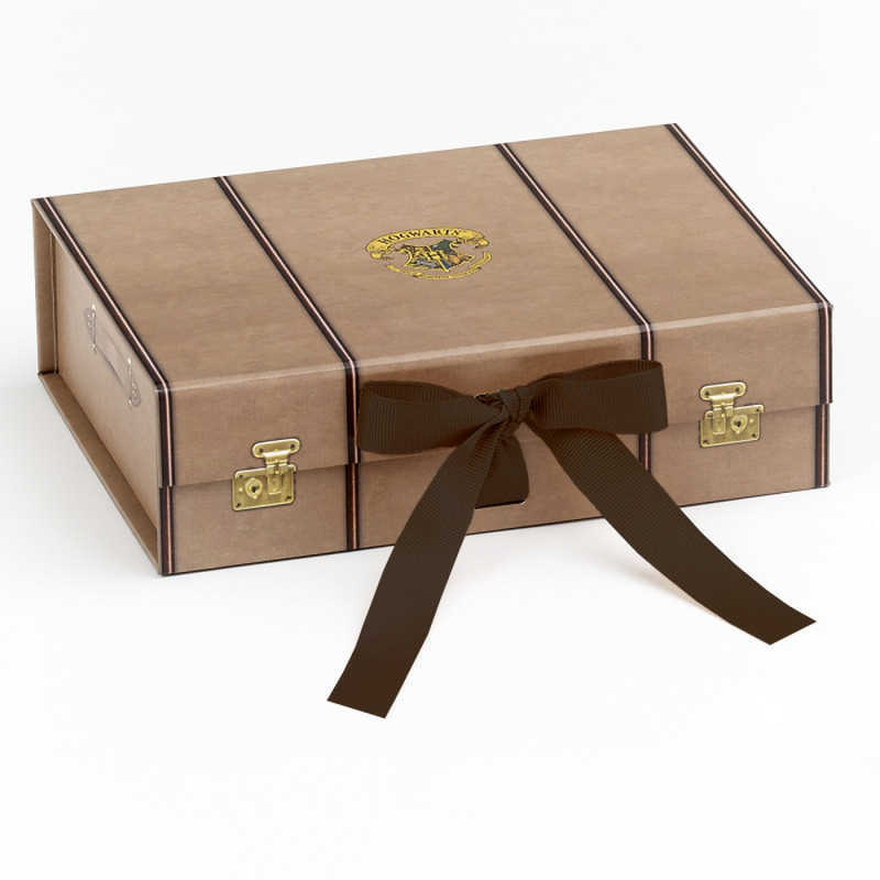 Coffret Cadeau Harry Potter a Monter soi meme Small 1
