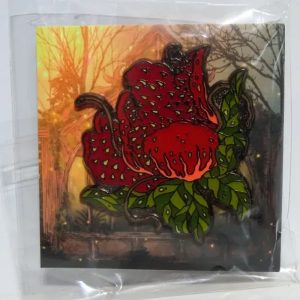 Pins de Plante Magique The Wizarding Trunk 2