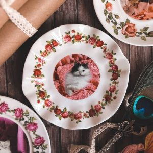 Assiette chat 4
