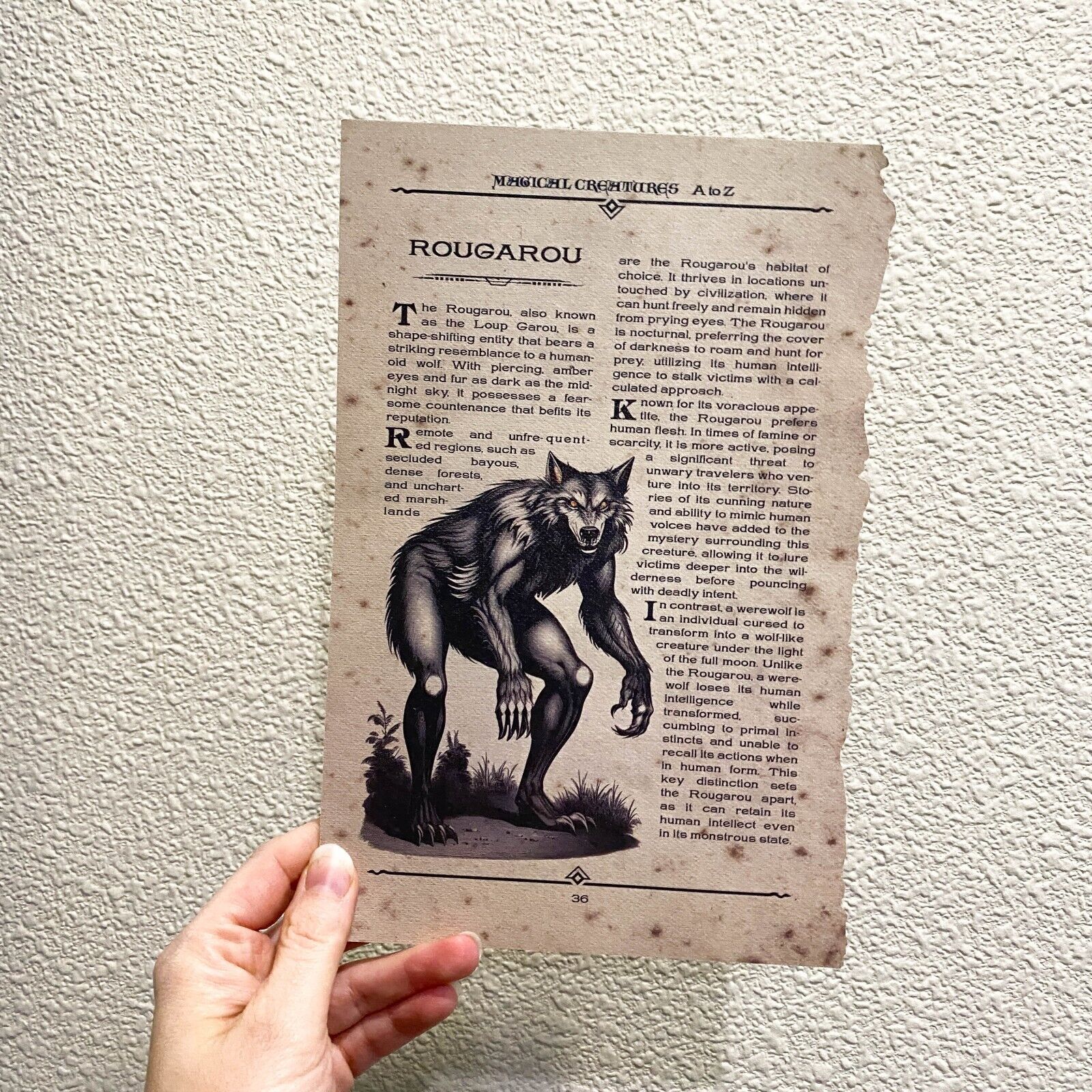 Page des Creatures Magiques de A a Z Harry Potter Wizarding Trunk Redcap Rougarou 1