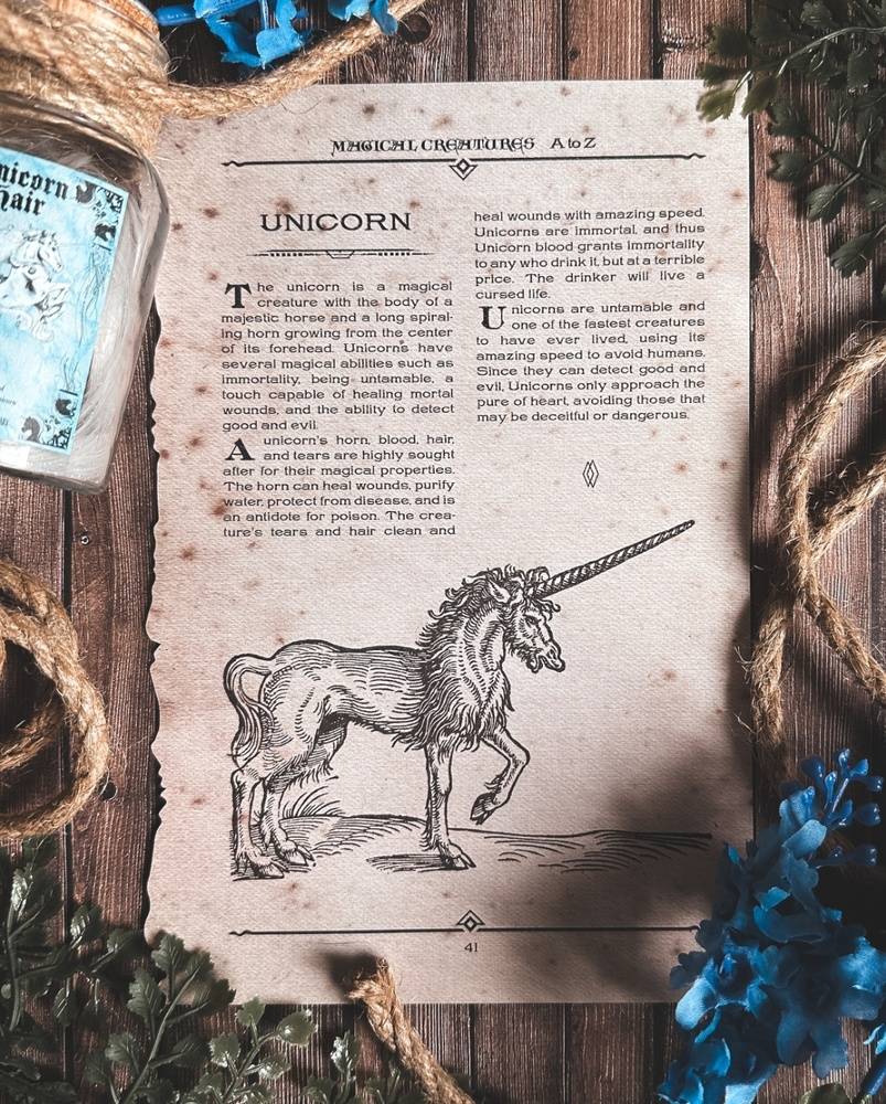 Page des Creatures Magiques de A a Z Harry Potter Wizarding Trunk Unicorn