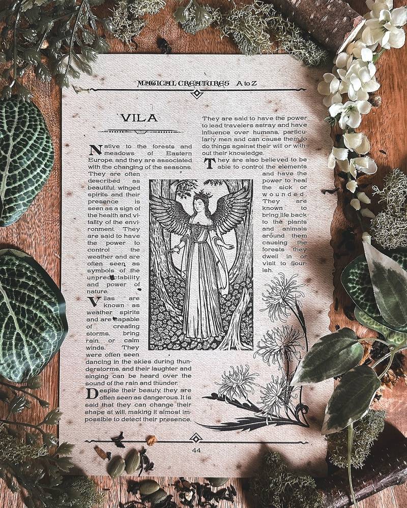Page des Creatures Magiques de A a Z Harry Potter Wizarding Trunk Vila