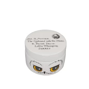 SBOXHP03 Boite Ronde Harry Potter en Ceramique Hedwige Half Moon Bay 3