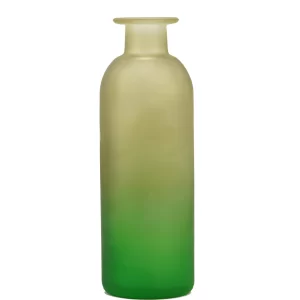 VAHP02 Vase en Verre Harry Potter Potion N.86 Half Moon Bay 2