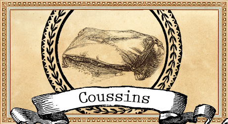 Coussins Harry Potter