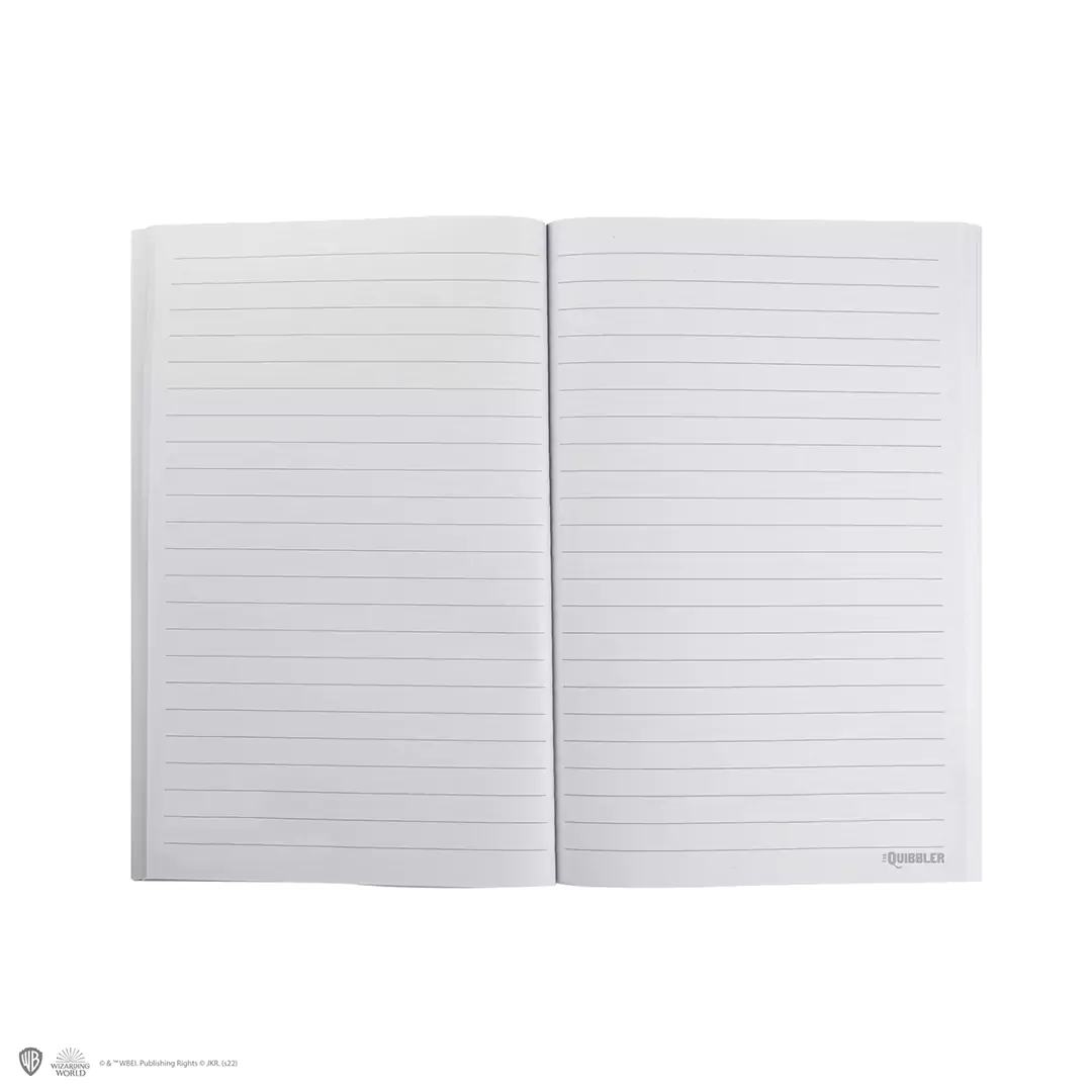 MAP5180 Carnet souple Le Chicaneur 2