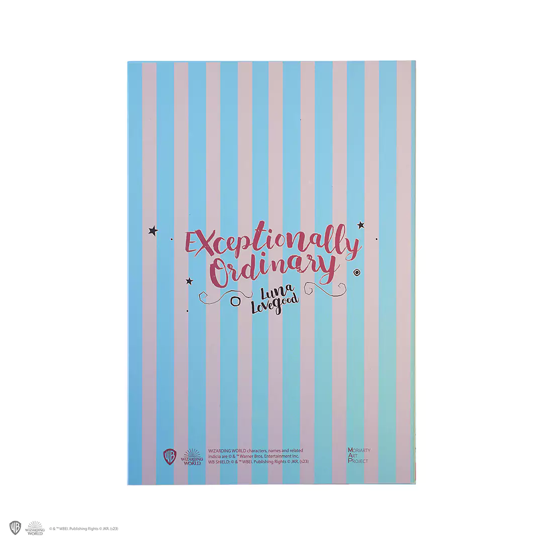 MAP5180 Carnet souple Le Chicaneur 3