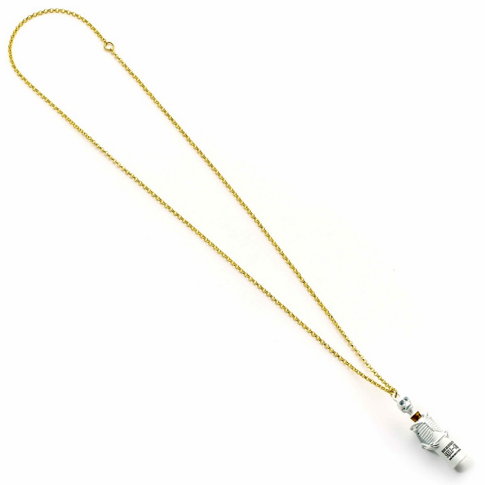 wnx00401 Harry Potter Skelegro Necklace 3