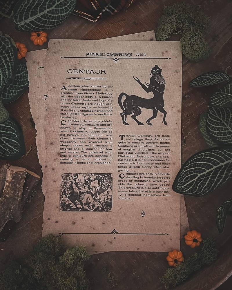 Page des Creatures Magiques Centaure et Cerbere The Wizarding Trunk