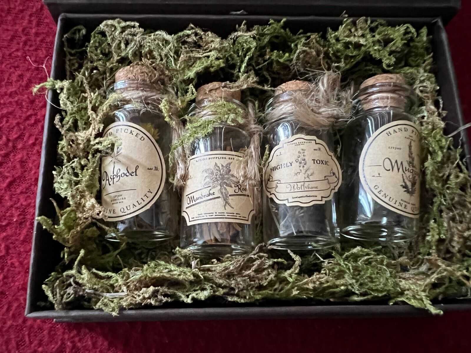 Boite a specimens de plantes Litjoy 1