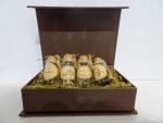 Boite a specimens de plantes Litjoy 2 Boite a specimens de plantes Litjoy 2