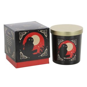 Bougie de Sagesse Lavenement des sorcieres 1
