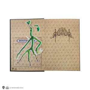 MAP5102 Carnet rigide et marque page Norbert Dragonneau 2