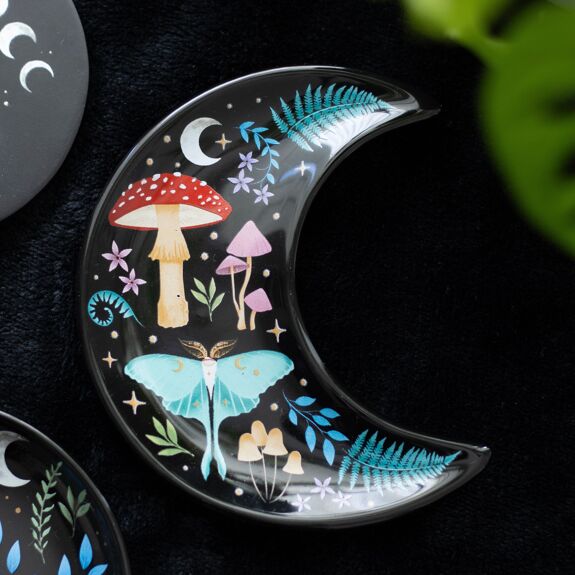 Petit Plat Lune de la Foret Interdite Something Different 1