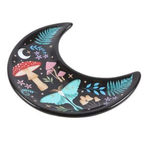 Petit Plat Lune de la Foret Interdite Something Different 2