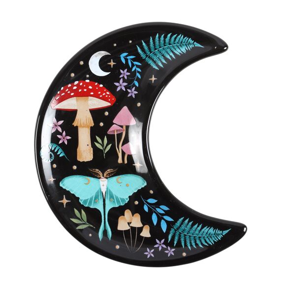 Petit Plat Lune de la Foret Interdite Something Different 3