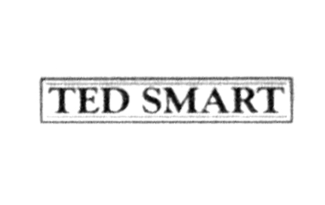 Logo Ted Smart rectangle
