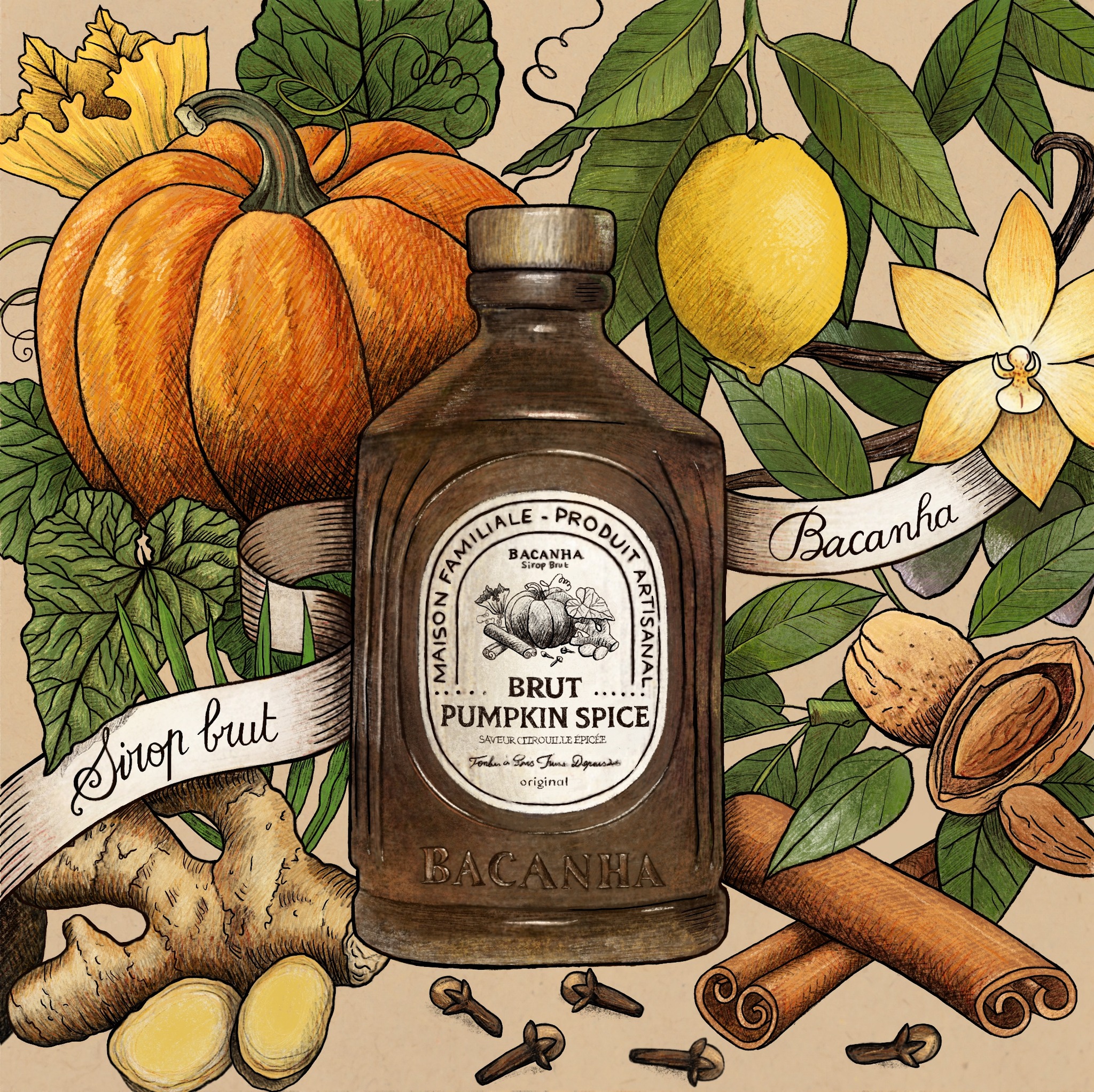 sirop brut de pumpkin spice citrouille épicée bacanha