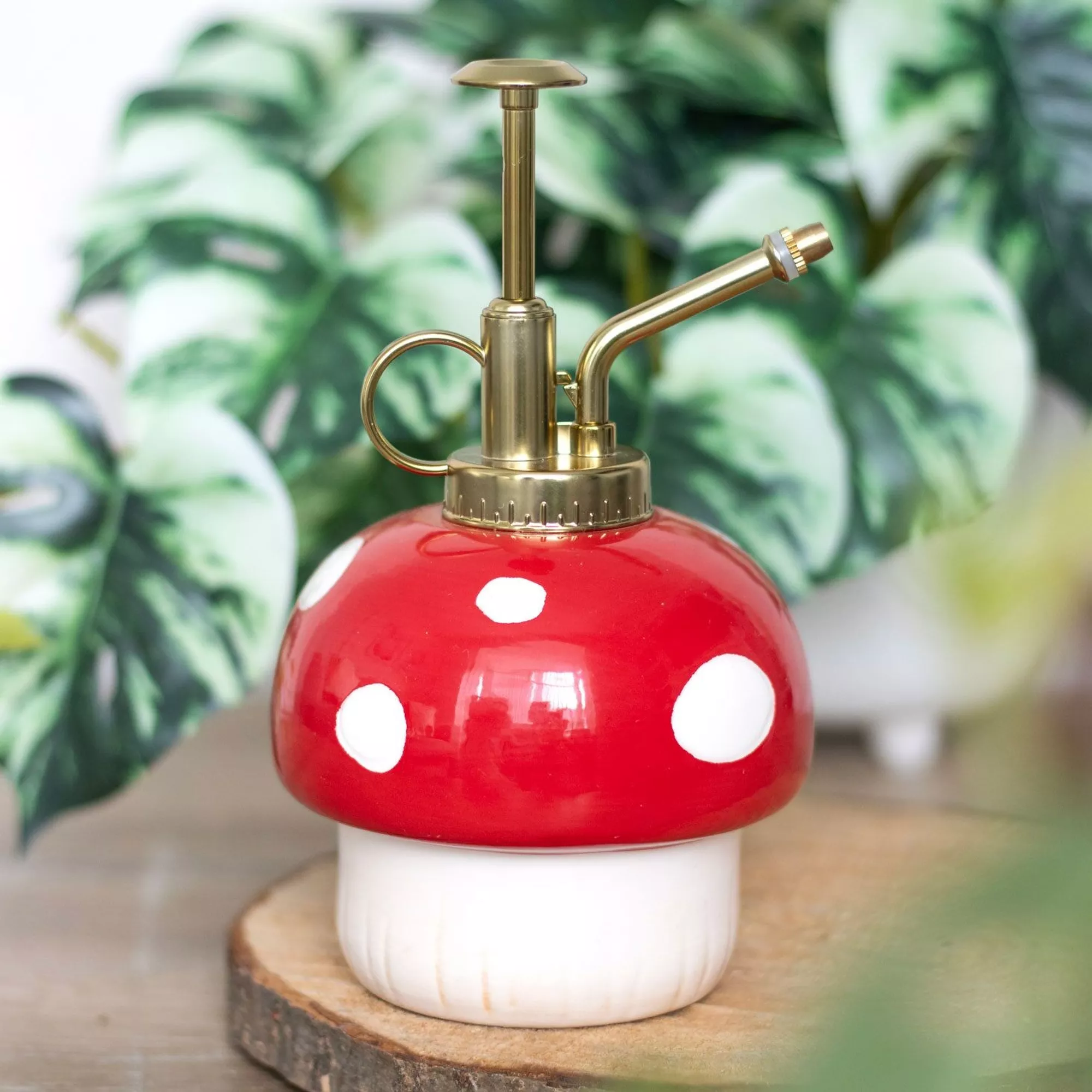 vaporisateur champignon pour plantes something different