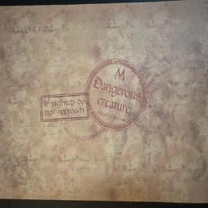 affiche cycle de vie du phénix the wizarding trunk (copie)