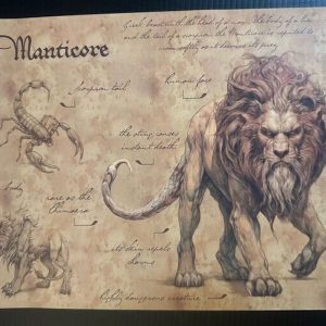 affiche cycle de vie du phénix the wizarding trunk (copie)
