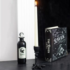 boîte de rangement en forme de livre le corbeau something different (copie)