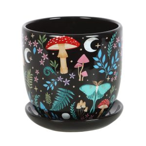 pot de fleurs de la forêt interdite avec soucoupe something different