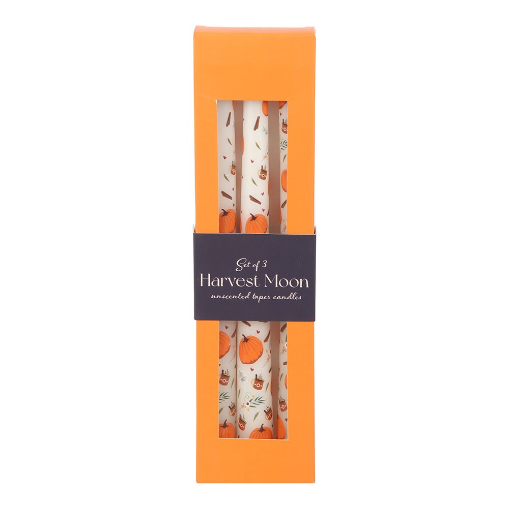 set de 3 bougies citrouilles pumpkin spice something different