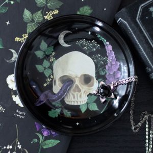 assiette vide poche plantes et poisons someting different