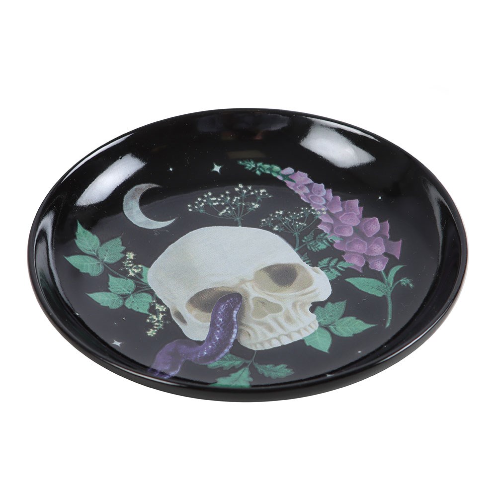 assiette vide poche plantes et poisons someting different