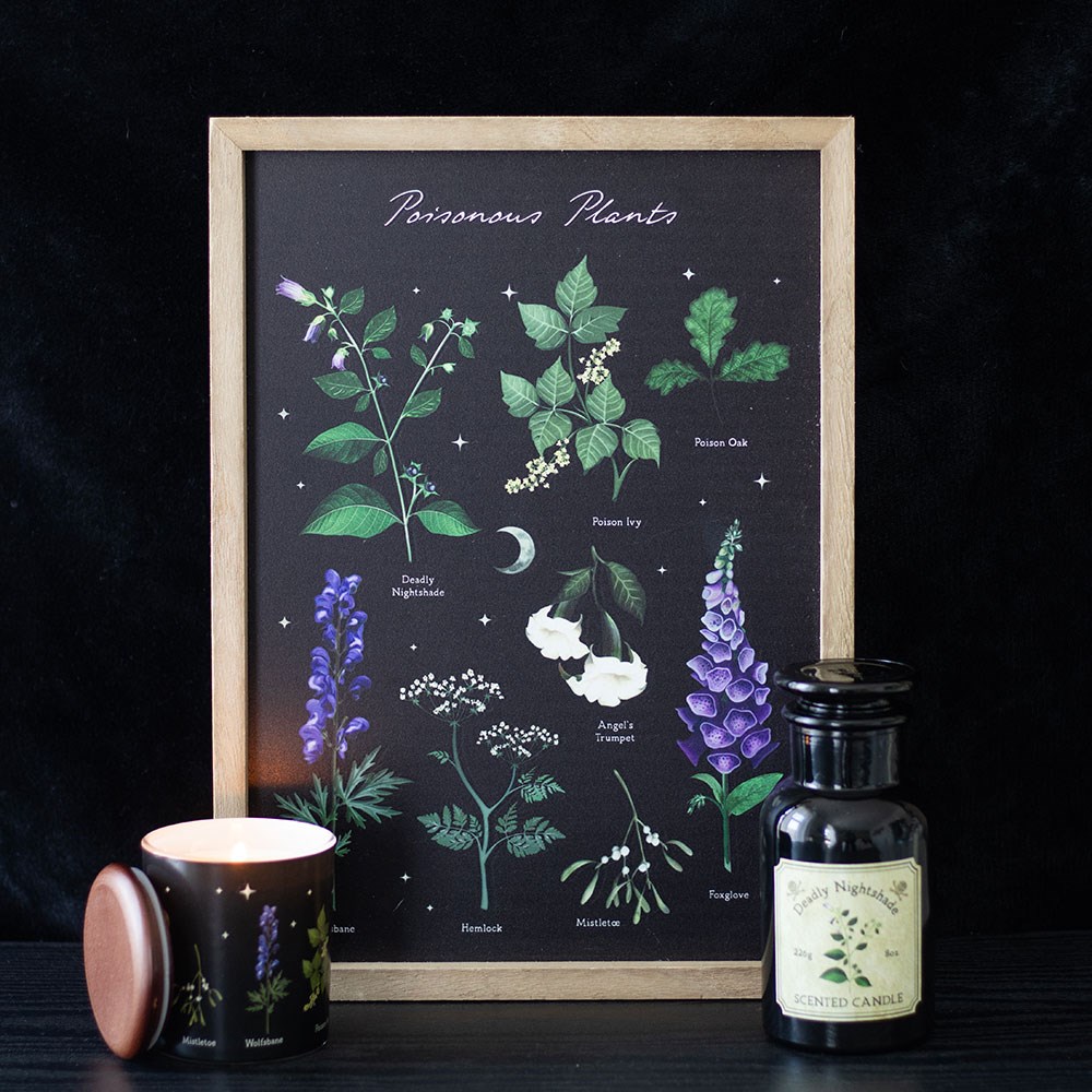 affiche encadrée plantes vénéneuses someting different
