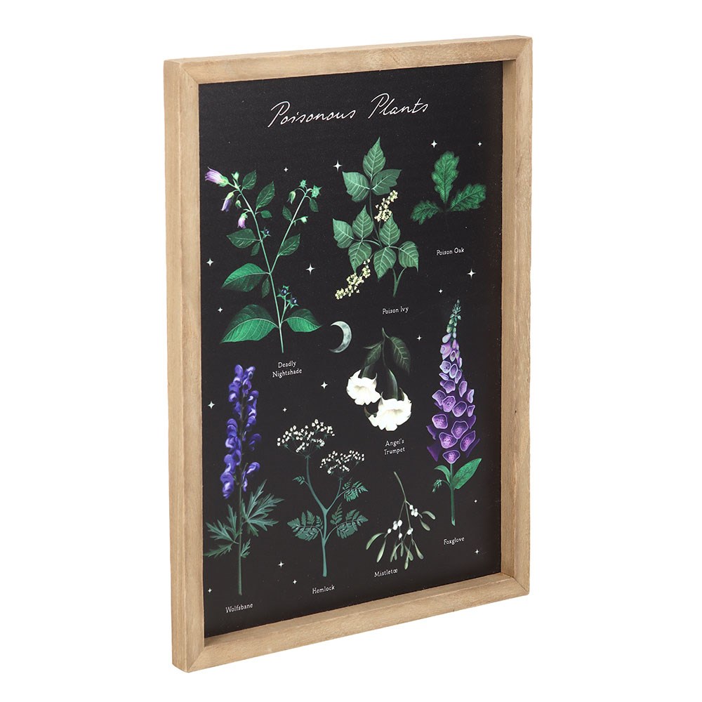 affiche encadrée plantes vénéneuses someting different