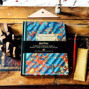 cahier d'exercices d'hermione minalima