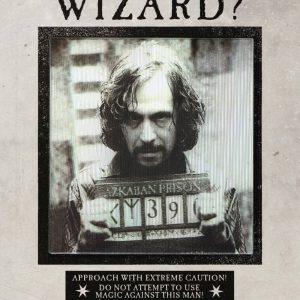 carte lenticulaire “have you seen this wizard ?” – minalima