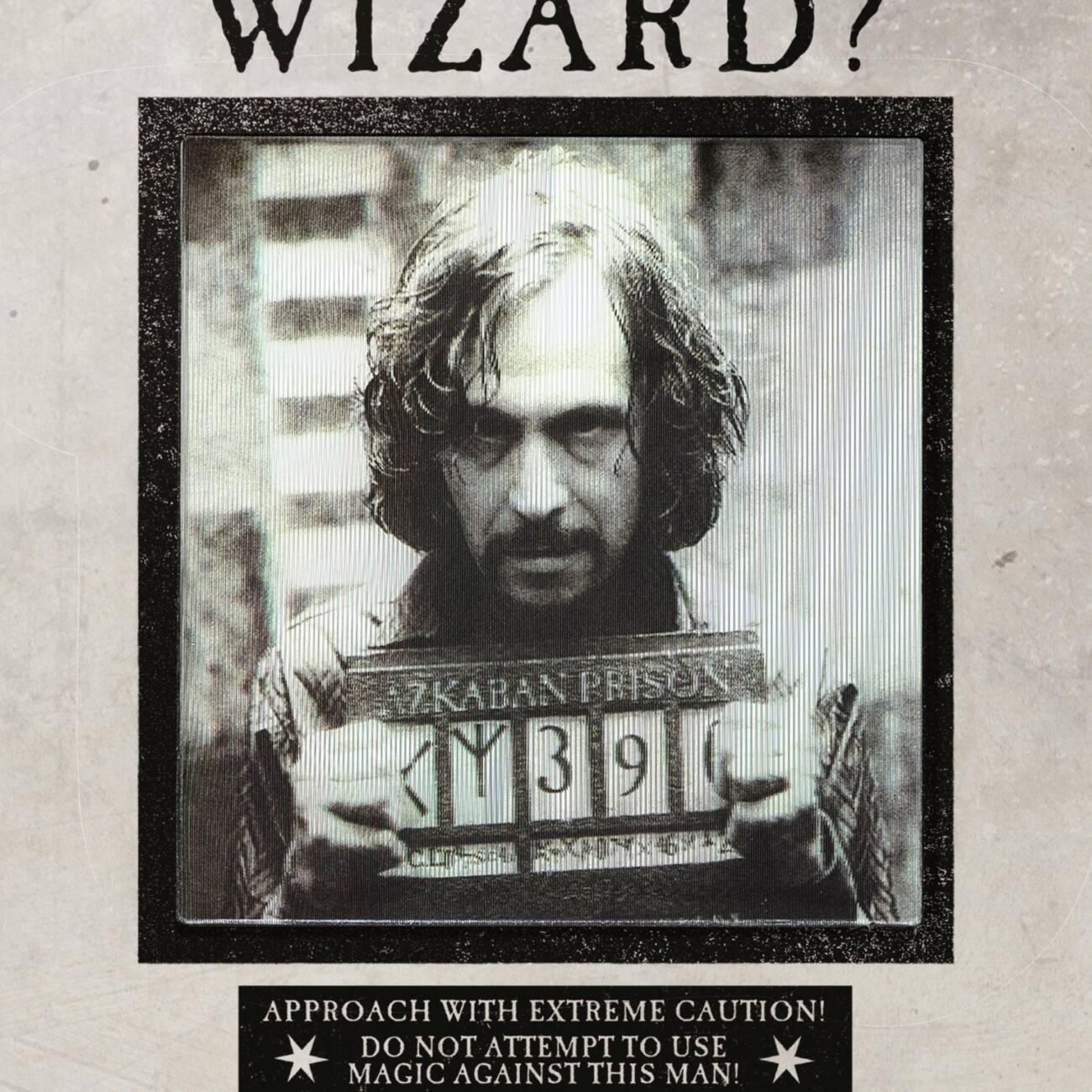 carte lenticulaire “have you seen this wizard ?” – minalima