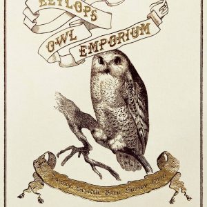 carte pliée “eeylops owl emporium – affiche du chemin de traverse” – minalima
