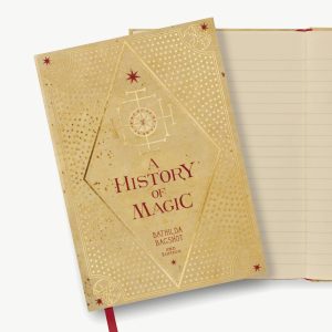 journal ligné "histoire de la magie" minalima