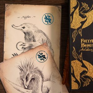 carte postale mystère animaux fantastiques journal de terrain de newt scamander