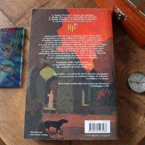 livre harry potter and the goblet of fire paperback bloomsbury version adulte (copie)