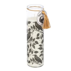 rv 91625 bougie parfumée corbeau mystique something different 2
