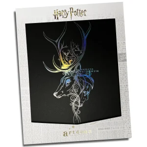 affiche de collection patronum harry potter