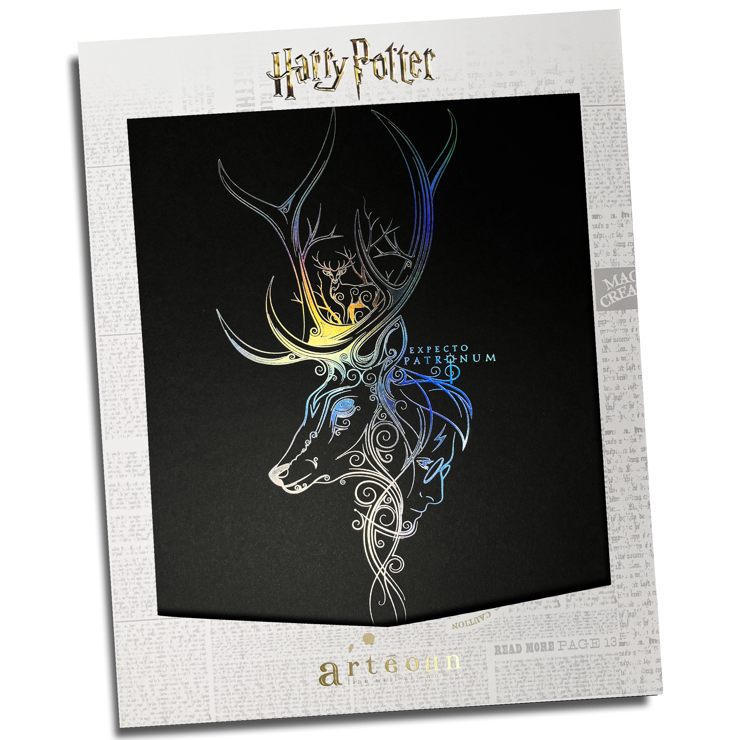 affiche de collection patronum harry potter