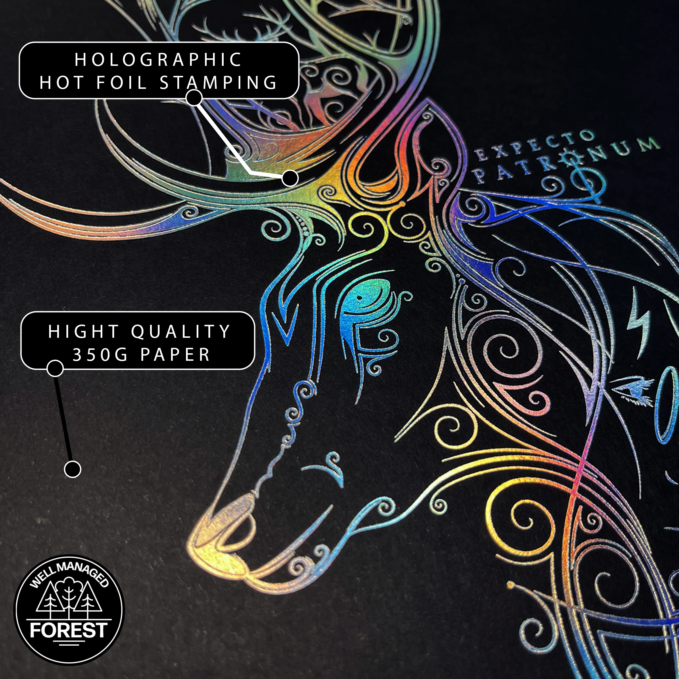 affiche de collection patronum harry potter